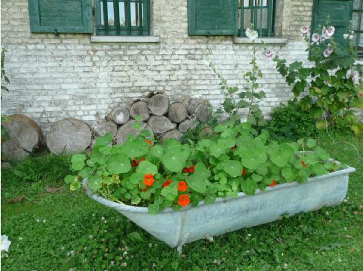 Manoir De Bois En Ardres Bed and Breakfast Exterior foto