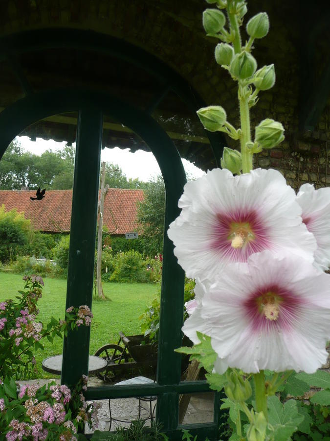 Manoir De Bois En Ardres Bed and Breakfast Exterior foto