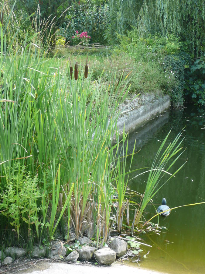 Manoir De Bois En Ardres Bed and Breakfast Exterior foto